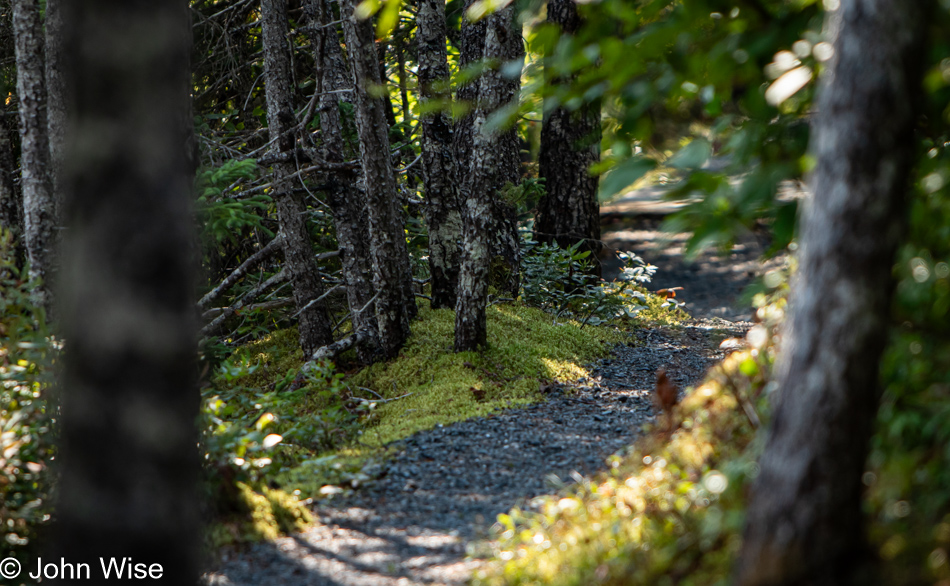 Southwest Arm Trail in Terra Nova National Park, Newfoundland, Canada