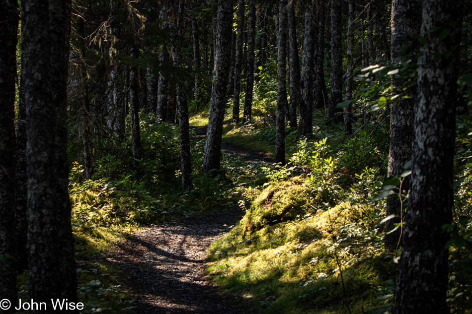 Southwest Arm Trail in Terra Nova National Park, Newfoundland, Canada