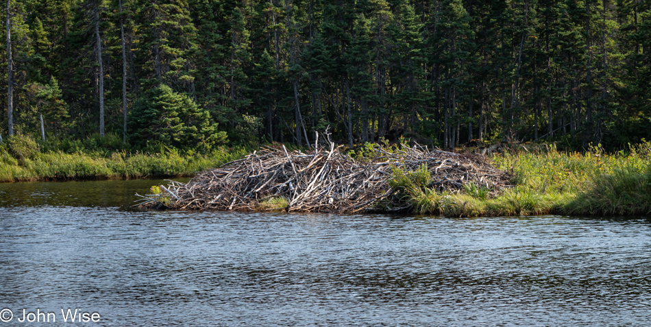 Southwest Arm Trail in Terra Nova National Park, Newfoundland, Canada