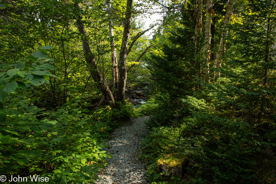 Coastal Trail in Terra Nova National Park, Newfoundland, Canada