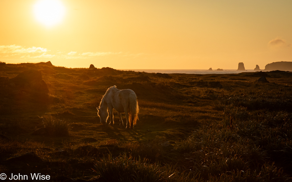 Bonavista, Newfoundland, Canada