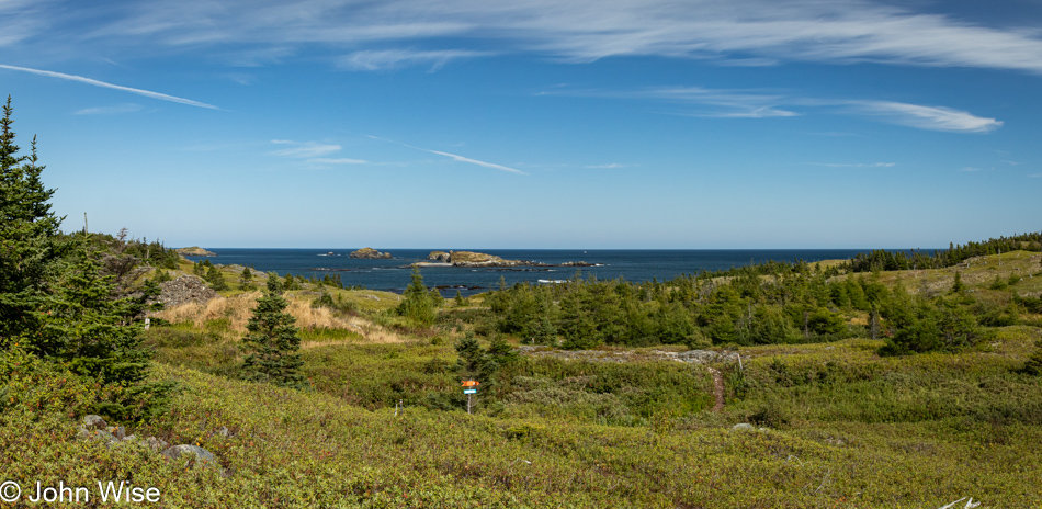 Capelin Gulch Fossil Site in Melrose, Newfoundland