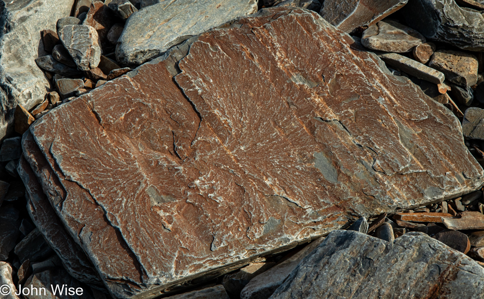 Capelin Gulch Fossil Site in Melrose, Newfoundland