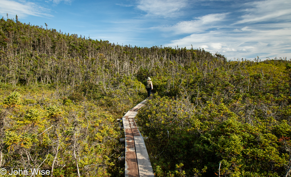 Skerwink Trail in Port Rexton, Newfoundland, Canada