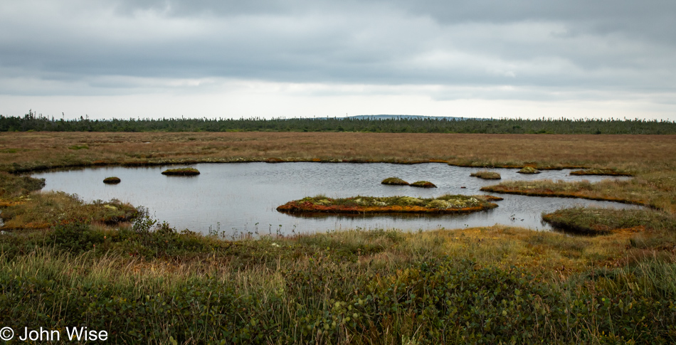 Near Chance Cove Provincial Park, Newfoundland, Canada