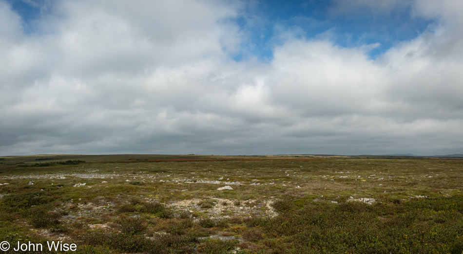 Eastern Hyper-Oceanic Barrens, Newfoundland, Canada