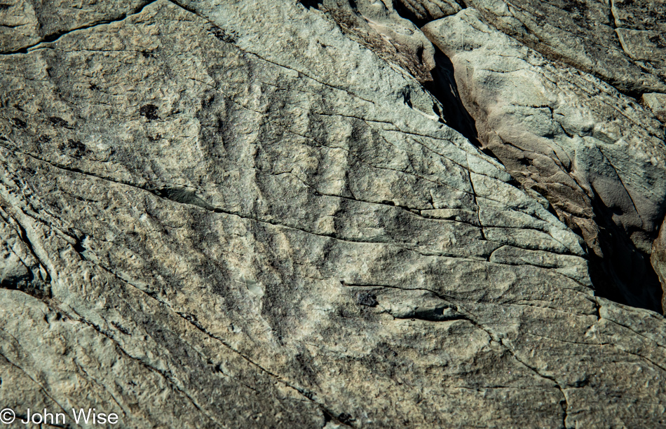 Mistaken Point UNESCO World Heritage Site, Newfoundland, Canada 