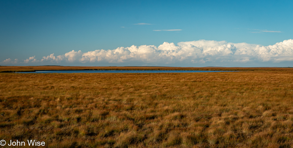 Eastern Hyper-Oceanic Barrens, Newfoundland, Canada