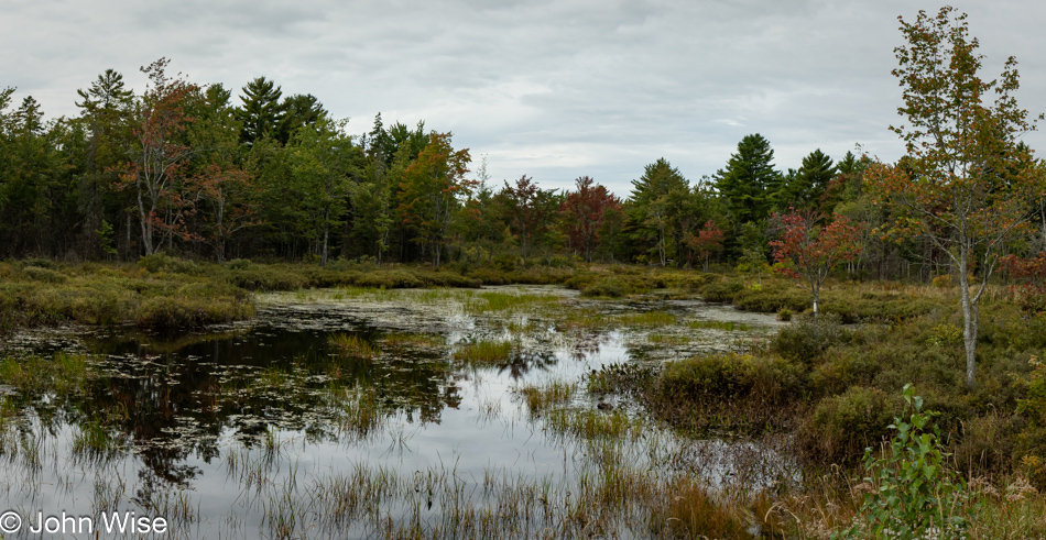 Davis Pond in Eddington, Maine