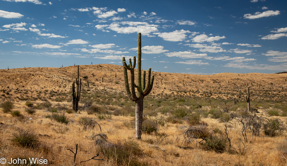 AZ 87 a.k.a., the Beeline Highway north of Fountain Hills, Arizona