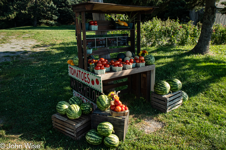 Vegetable stand in Williamson, New York