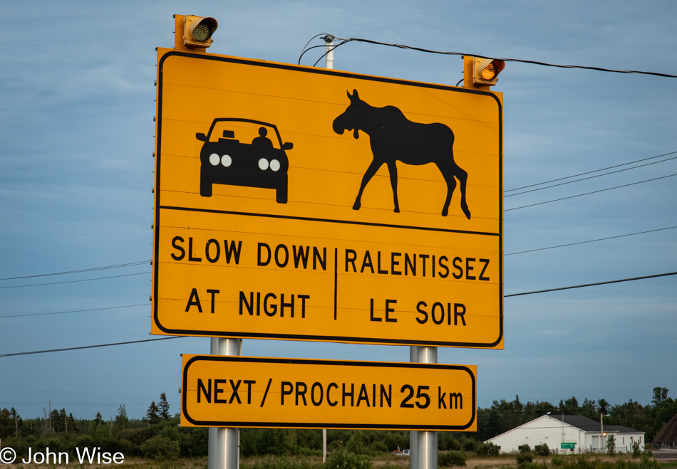 Moose warning near Port Elgin, New Brunswick, Canada