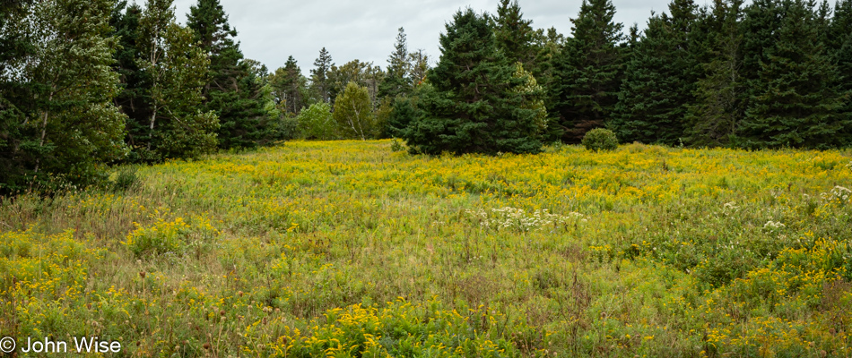 Greenwich Beach National Park in Greenwich, Prince Edward Island, Canada