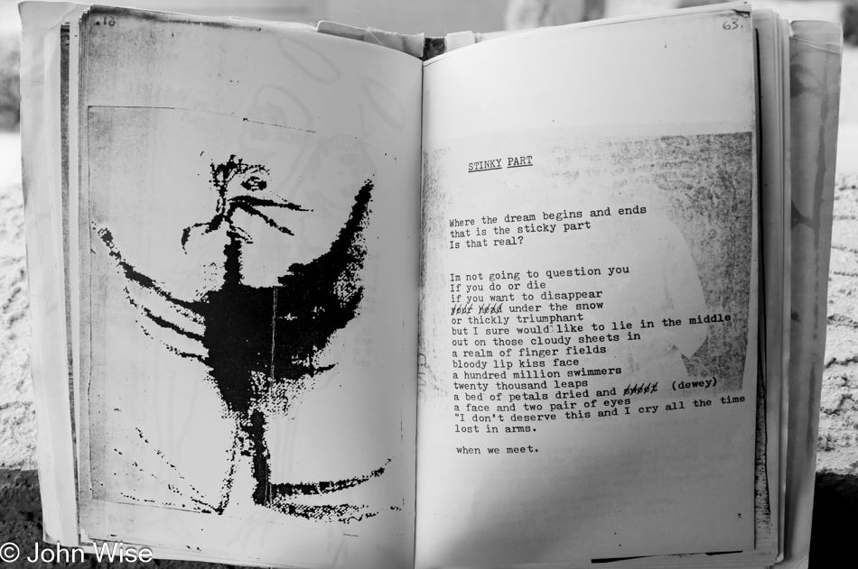 Fur-spined book of poetry and drawings titled Futility from Lung Leg (Lisa Carr)