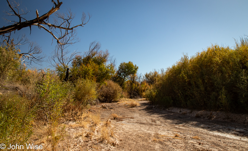 Dry bed of the Gila River in Duncan, Arizona